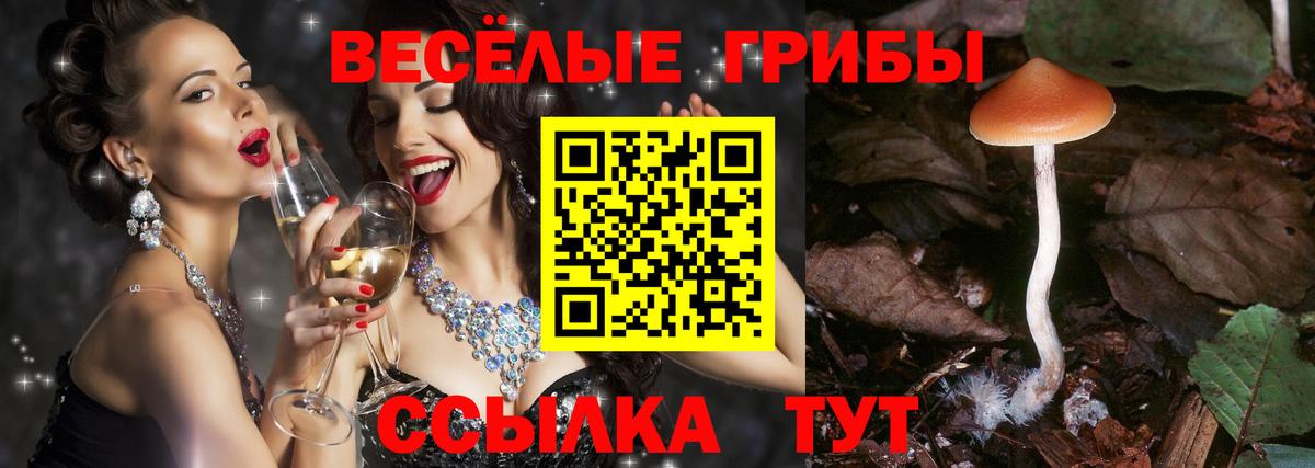 Магадан  Галлюциногенные грибы Psilocybe  Вход с VPN  Галлюциногенные грибы мицелий 